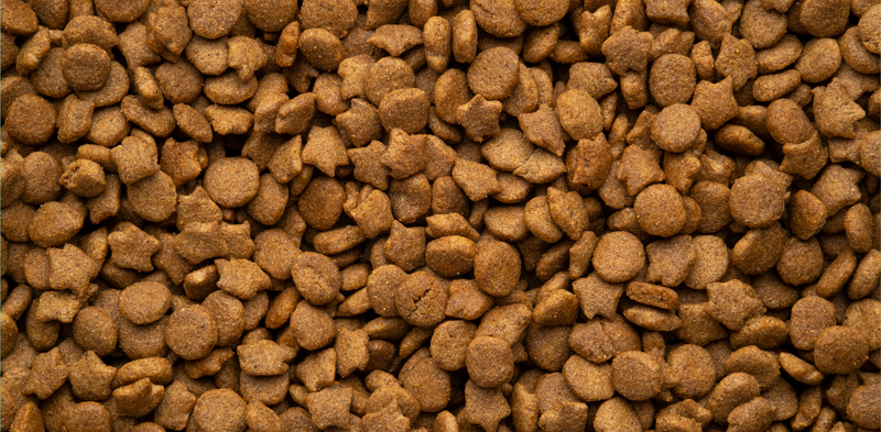 Boljša prebavljivost hladno stiskane hrane pri psih