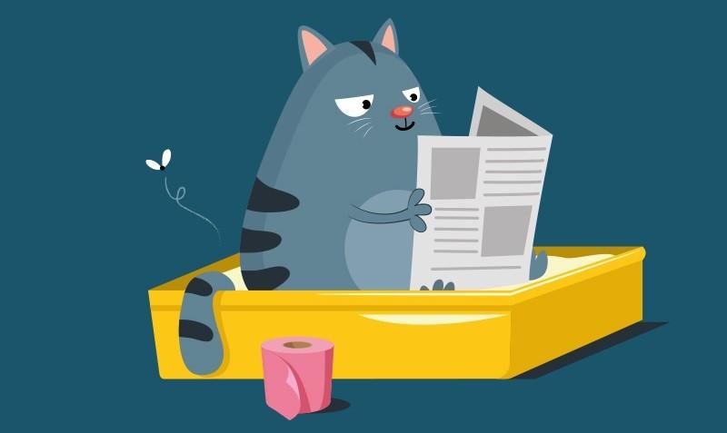 Mačja driska in blato: ilustracija mačke na posodi s peskom