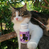Apicat Urino