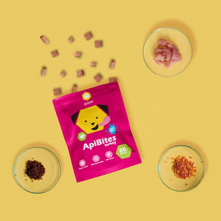 ApiBites Puran