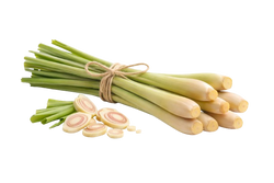 LIMONSKA TRAVA