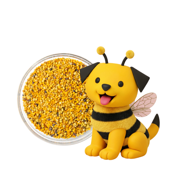 Tajna je u pčelama 🐝