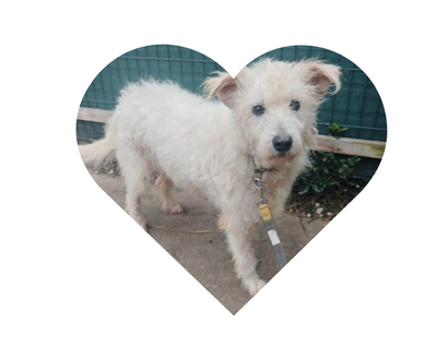 Bambina je posvojena!