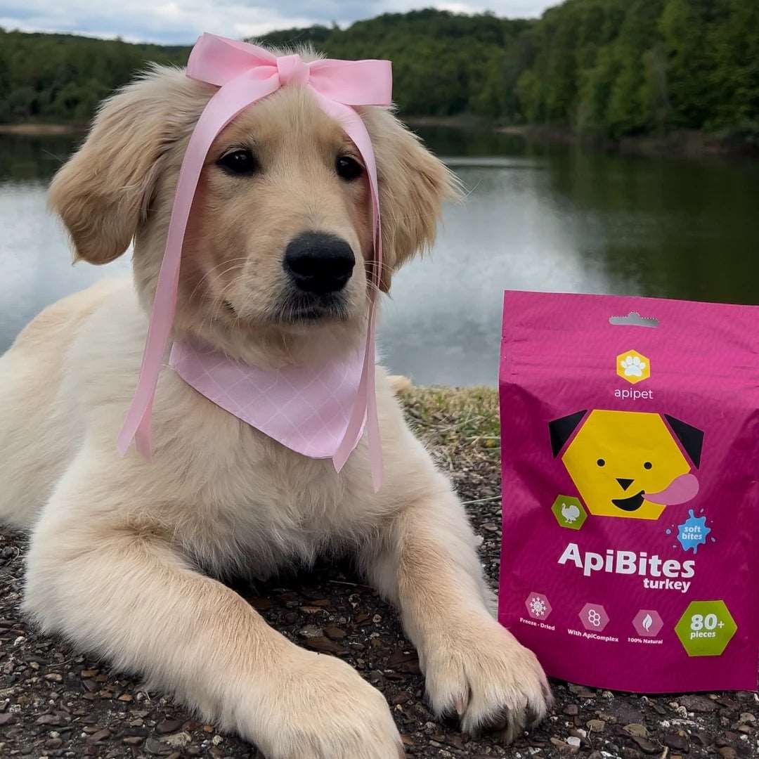 ApiBites - Puretina