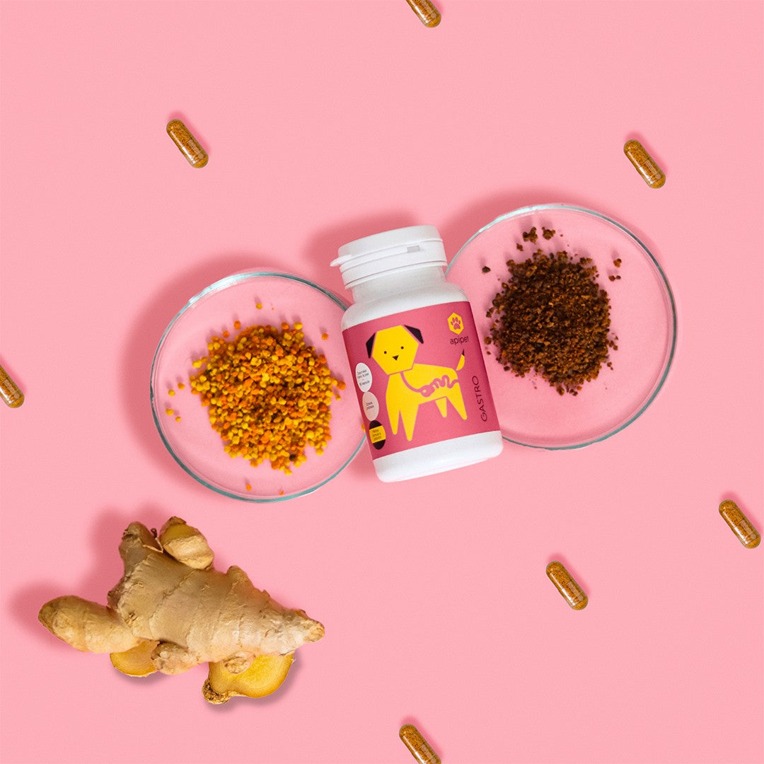 Apipet Gastro - 180 kapsul