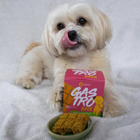 Apipet Brix Gastro