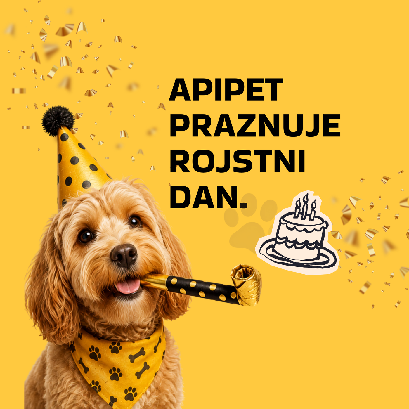 Praznujemo Apipetov rojstni dan 🎂