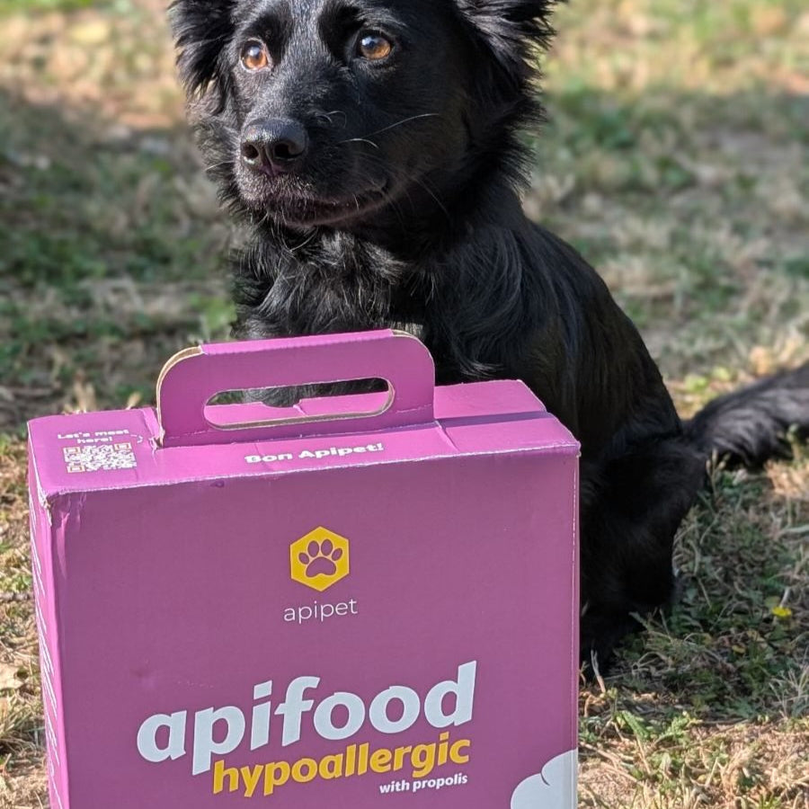 Apifood Hypoallergic Jagnjetina