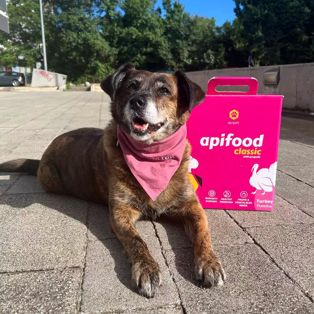 Apifood Vital Puran
