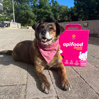 Apifood Vital Puran