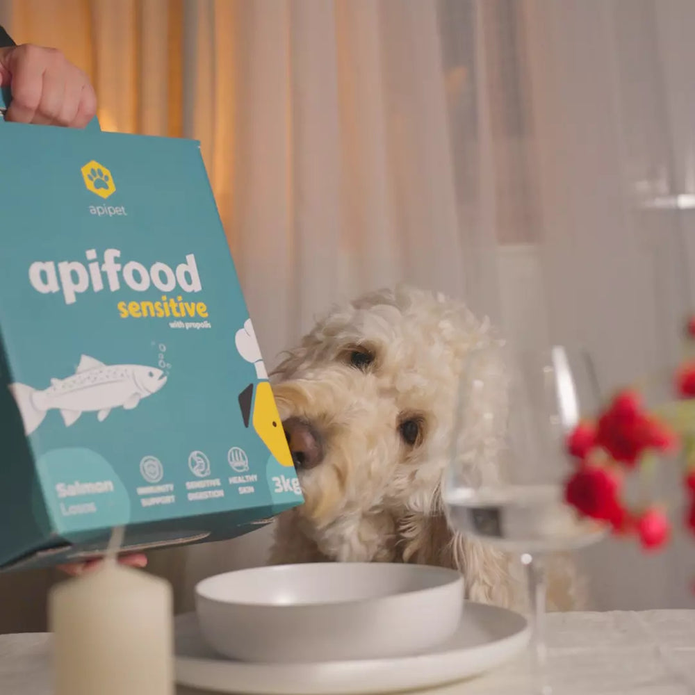 Apifood Sensitive Losos