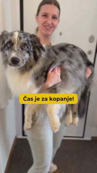 Apispa Repair