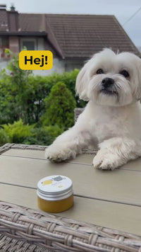 ApiPaw