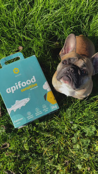 Apifood Sensitive Losos