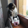Apicat Probiotic