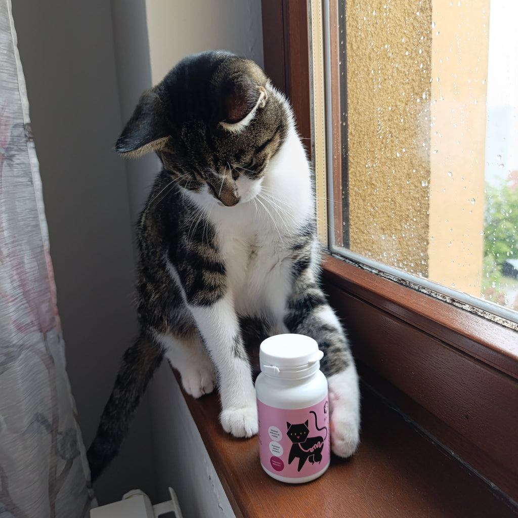 Apicat Probiotic