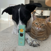 ApiDrop