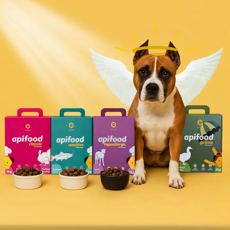Apifood - hrana, ki bi morala obstajati že prej