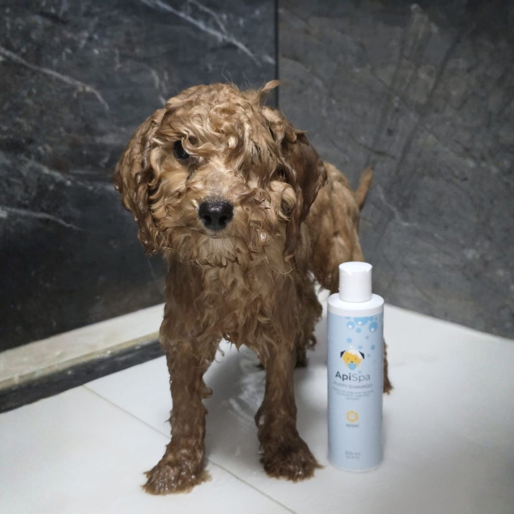 Apispa Puppy šampon