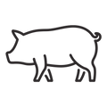 En vir beljakovin – iberska svinjina