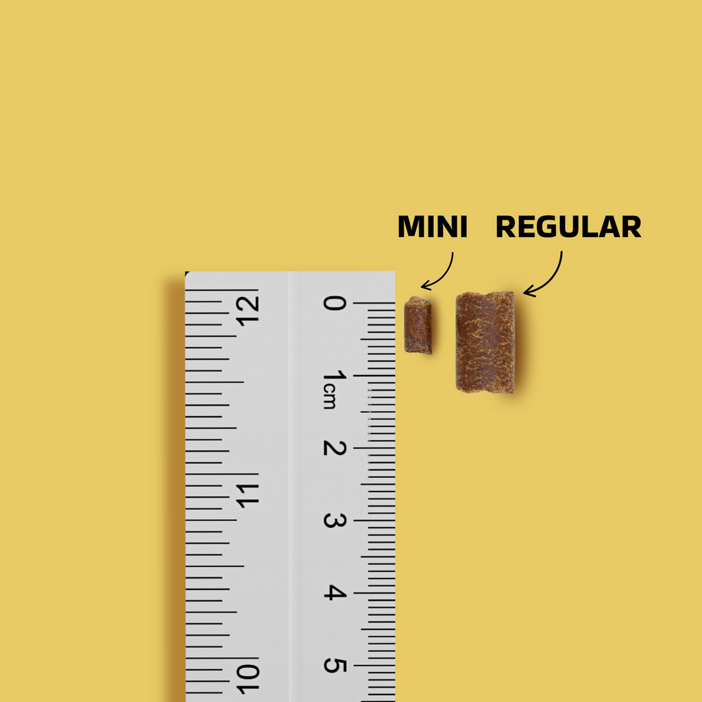 Apifood Hypoallergic Jagnjetina MINI